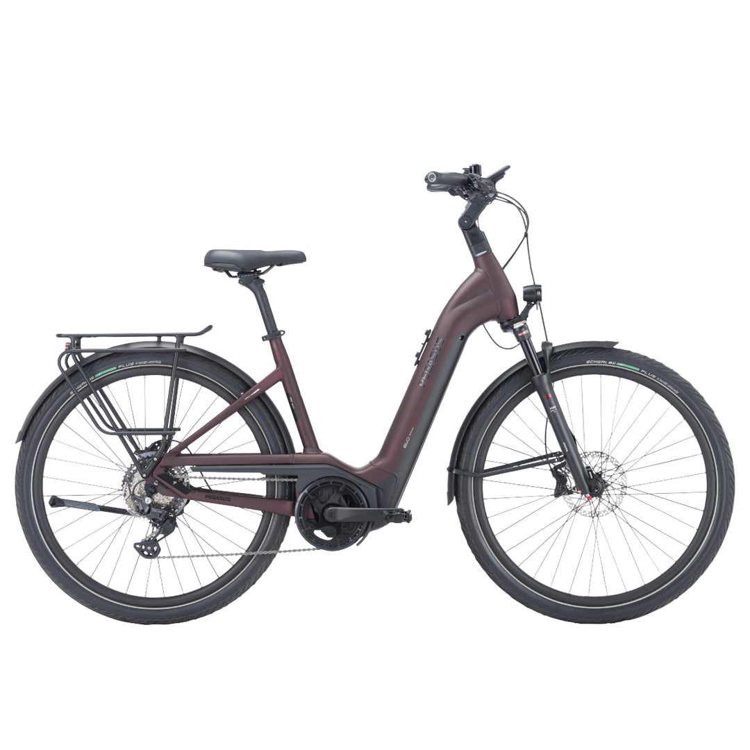 PEGASUS STRONG EVO 10 LITE 750Wh Wave – Zweirad Heilenmann GmbH