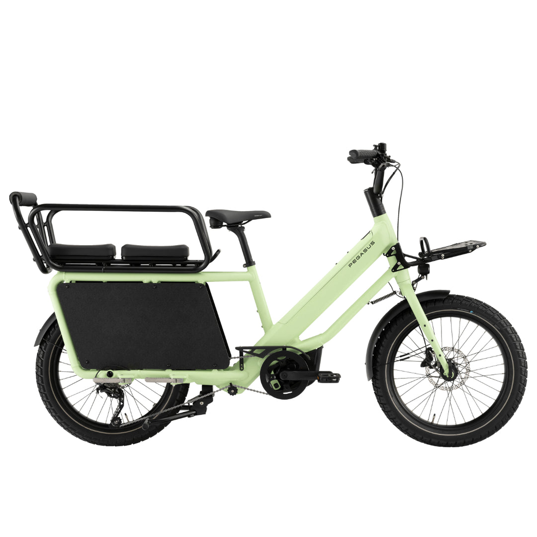 Pegasus_Famulo_green_2026